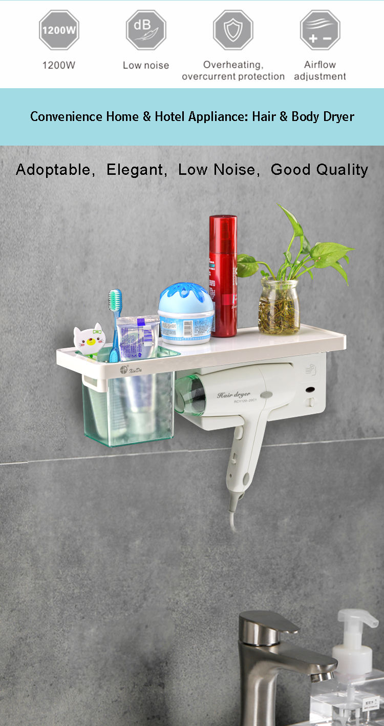 M&aacute;y sấy t&oacute;c chuy&ecirc;n nghiệp